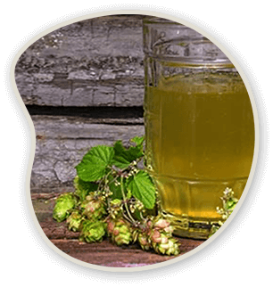 Get Long-Term Relief from Toenail Fungus with Metanail Complex Serum Pr